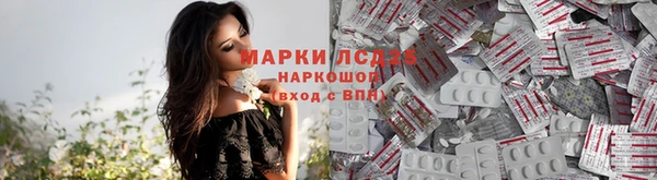 хмурый Бородино
