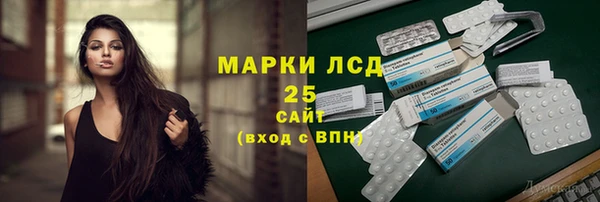 хмурый Бородино