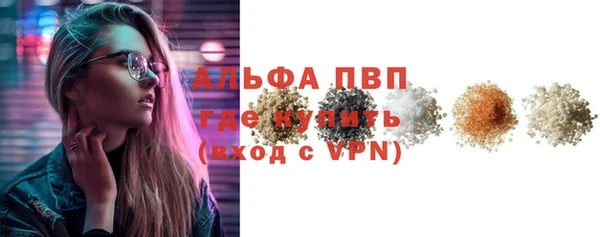 хмурый Бородино