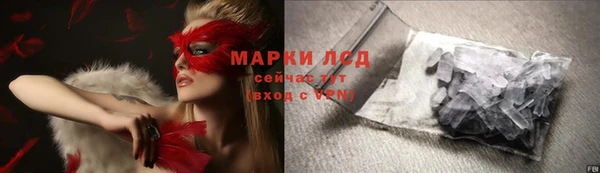 хмурый Бородино