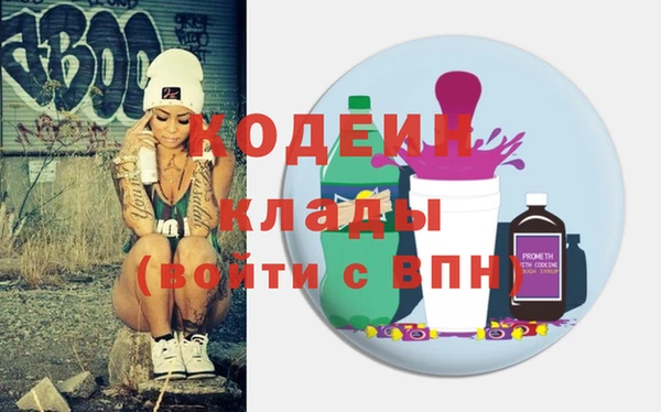 хмурый Бородино