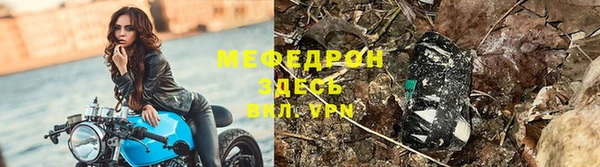 прущие грибы Белокуриха