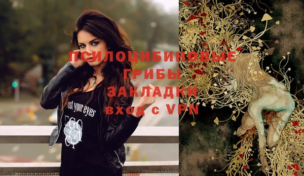 хмурый Бородино